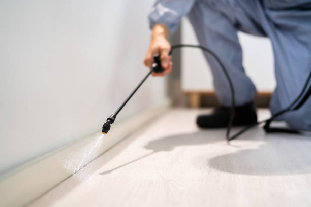 Licensed Termite Control service in Linn, MO - Nex Pest Control