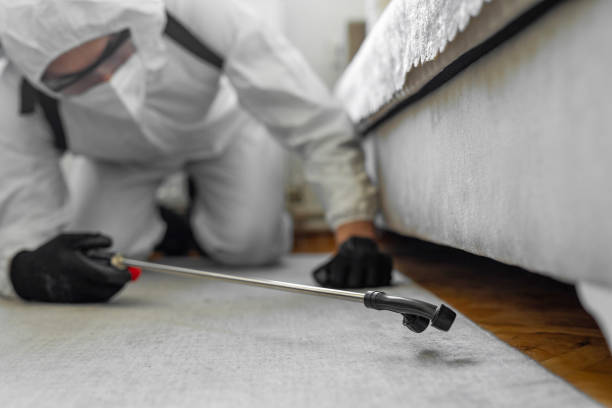 Professional Termite Control technician working in Linn, MO