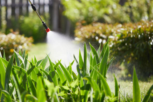24/7 Emergency Termite Control experts in Linn, MO